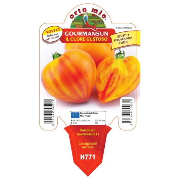 Pomodoro Cuore dolce var. Gourmansun F1 (res. a Peronospora e TSWV) - 1 pianta v.10 cm - Orto Mio Orto Mio (2497040)