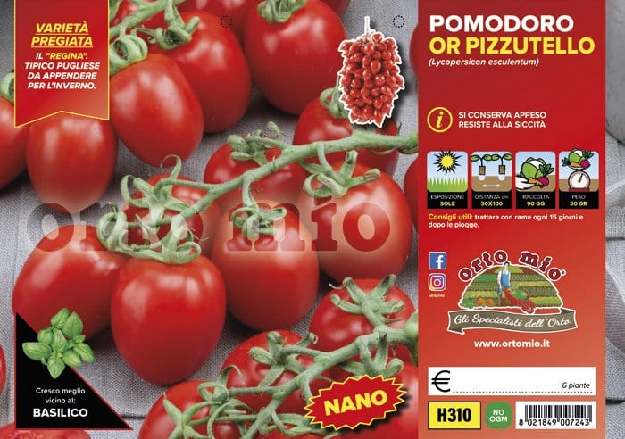 Pomodoro determinato (nano) regina OR Pizzutello - 6 piante - Orto Mio Orto Mio (2497067)