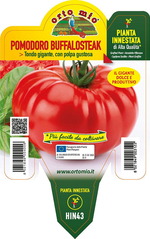 Pomodoro gigante Buffalosteak F1 - 1 pianta innestata v.14 cm - Orto Mio Orto Mio (2497076)