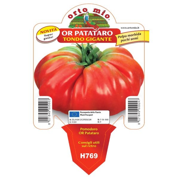 Pomodoro Gigante var. OR Patataro - 1 pianta v.10 cm - Orto Mio Orto Mio (2497081)