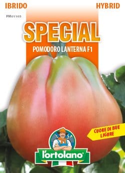 Pomodoro Lanterna - Special F1 Ibrida - L'Ortolano L'Ortolano (2497083)