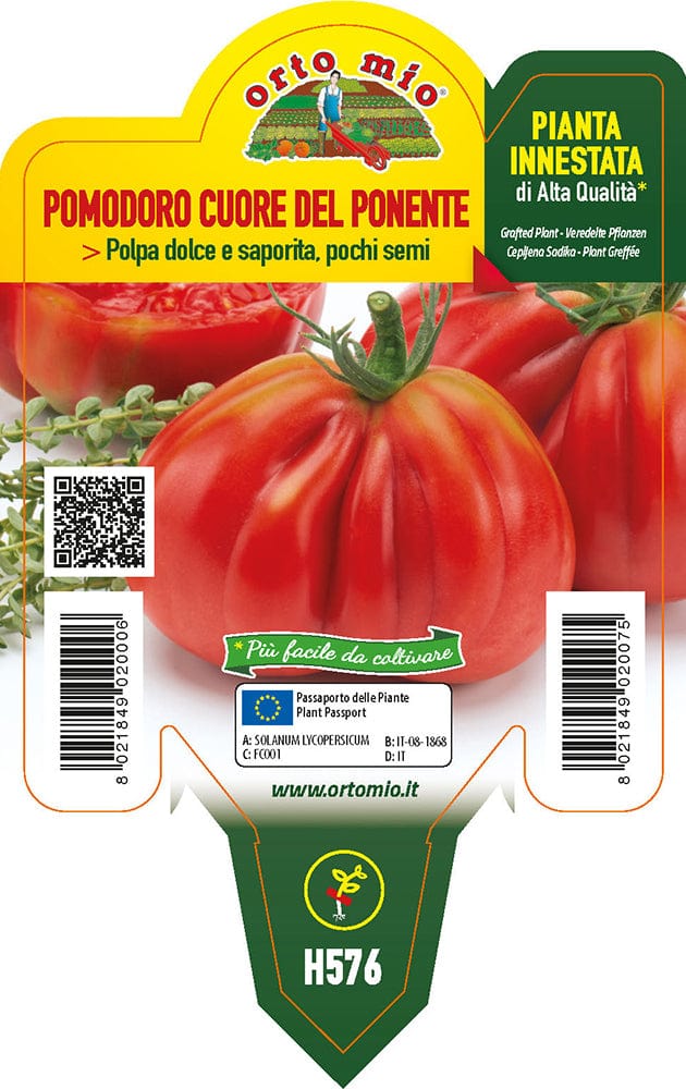 Pomodoro ligure cuore del Ponente BF 220 F1 - 1 pianta Innestata v.10 cm - Orto Mio Orto Mio (2497084)