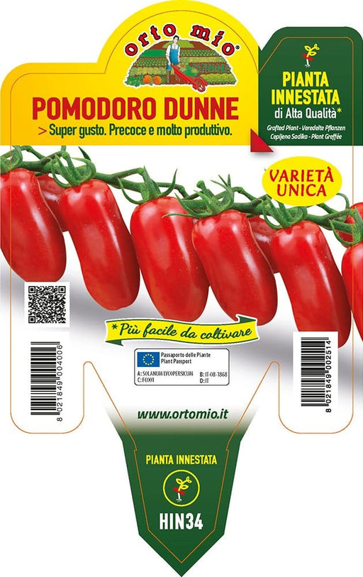 Pomodoro mini perino Dunne F1 - 1 pianta innestata v.14cm - Orto Mio Orto Mio (2497090)
