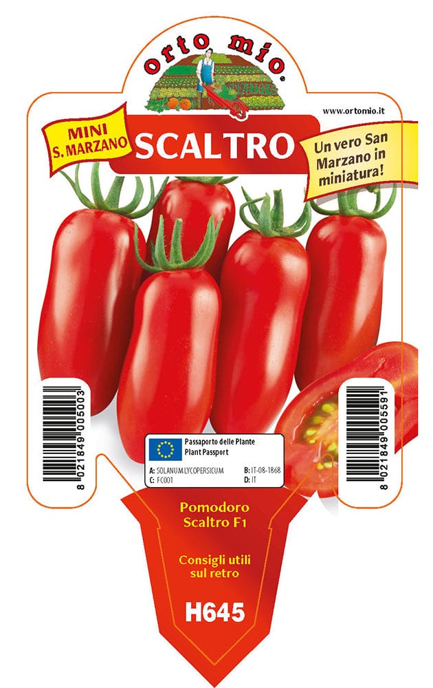 Pomodoro San Marzano e ovale mini san marzano Scaltro F1 - 1 pianta v.10 cm - Orto Mio Orto Mio (2497104)