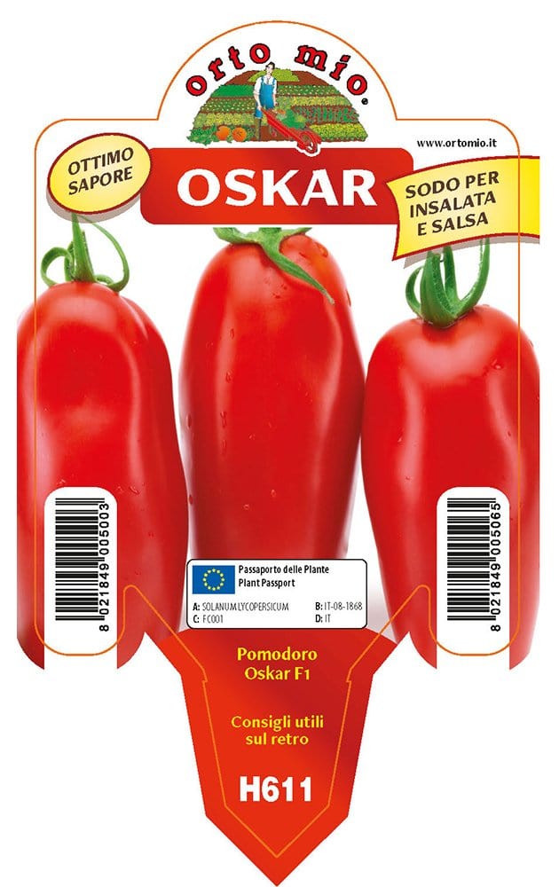 Pomodoro San Marzano e ovale Oskar F1 - 1 pianta v.10 cm - Orto Mio Orto Mio (2497105)