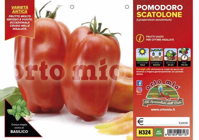 Pomodoro San Marzano e ovale San Marzano vuoto Scatolone F1 - 6 piante - Orto Mio Orto Mio (2497107)