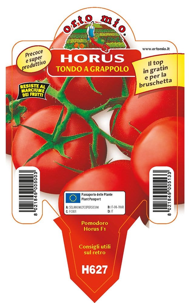 Pomodoro tondo a grappolo Horus F1 - 1 pianta vaso 10 cm - Orto Mio Orto Mio (2497121)