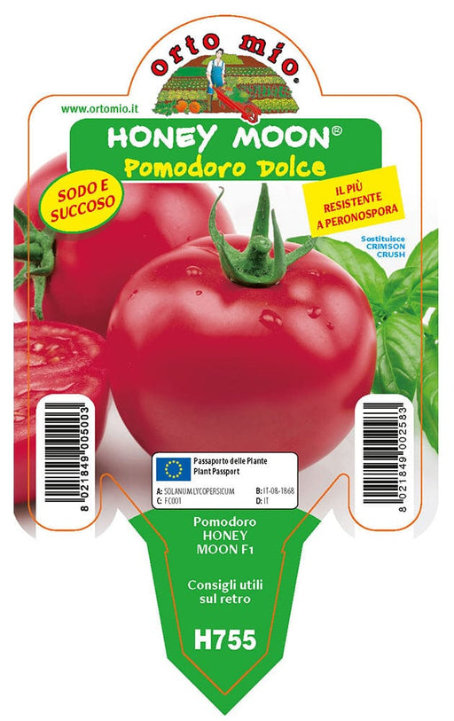 Pomodoro tondo dolce Honey Moon F1 - 1 pianta v.10 cm - Orto Mio Orto Mio (2497132)