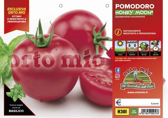 Pomodoro tondo dolce Honey Moon F1 - 6 piantine - Orto Mio Orto Mio (2497133)