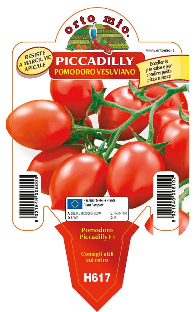 Pomodoro vesuviano Piccadilly F1 - 1 pianta v. 10 cm - Orto Mio Orto Mio (2497139)