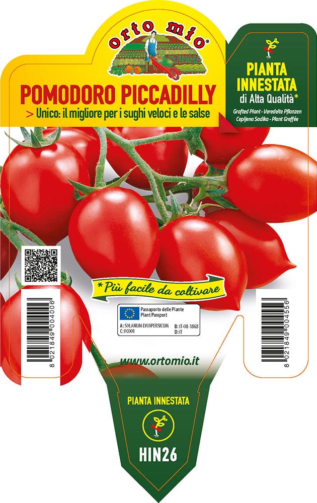Pomodoro Vesuviano Piccadilly Trendy F1 - 1 pianta Innestata v.14 cm - Orto Mio Orto Mio (2497140)
