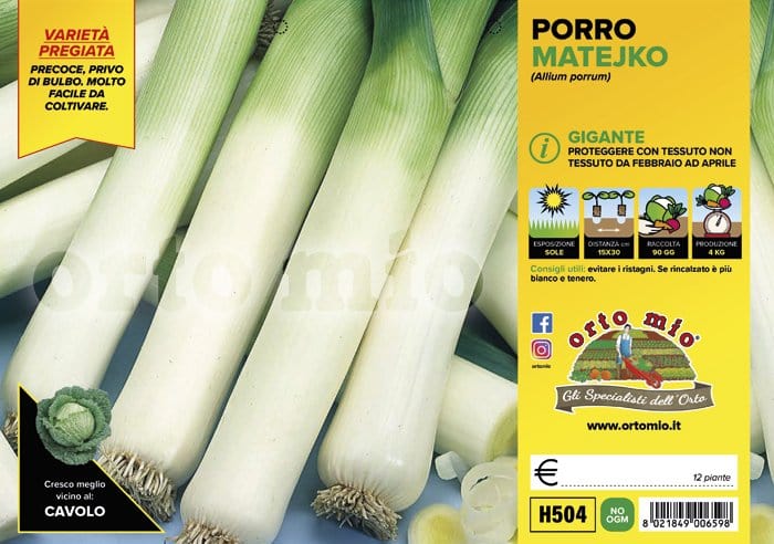 Porro gigante Mateiko F1 - 12 piante - Orto Mio Orto Mio (2497170)