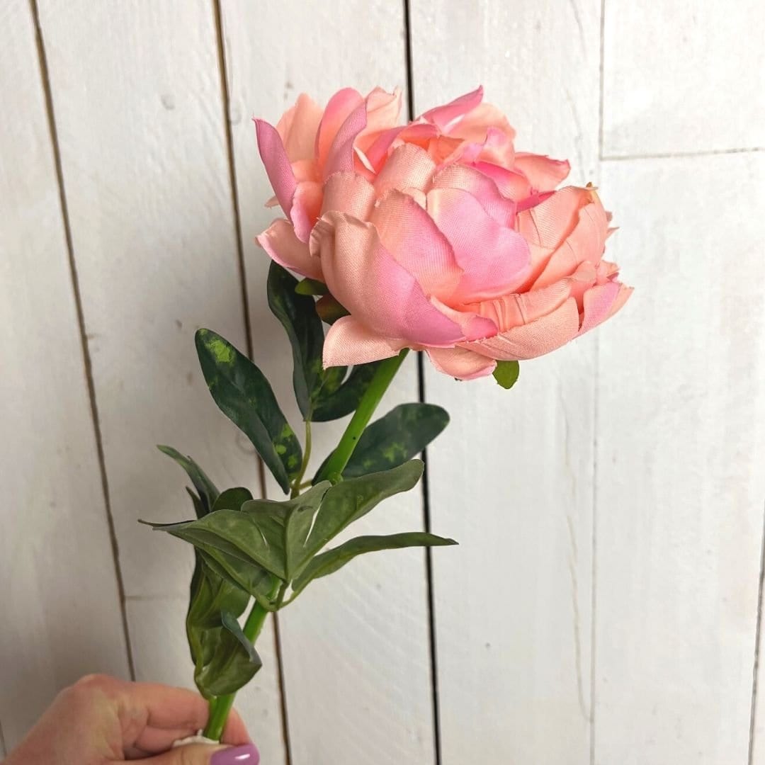 Ramo Decorativo Peonia - 65 cm Rosa Blumissima (2497699)