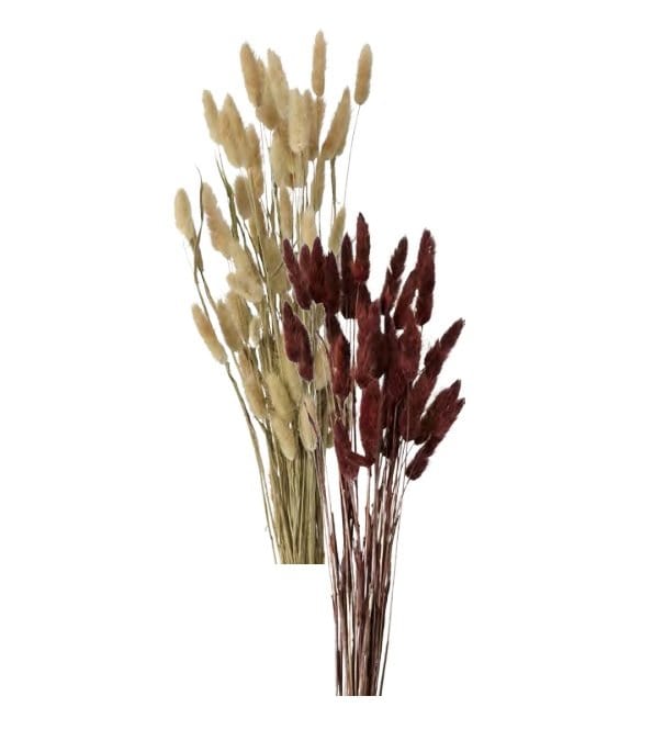 Ramoscello Erba - Fiore secco decorativo Boltze (2497705)