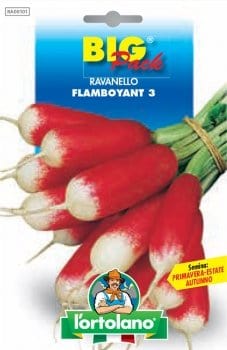 Ravanello Flamboyant 3 - Big Pack - L'Ortolano L'Ortolano (2497736)