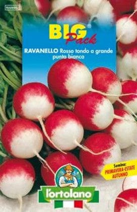 Ravanello Rosso Tondo a Grande Punta Bianca - Big Pack - L'Ortolano L'Ortolano (2497737)