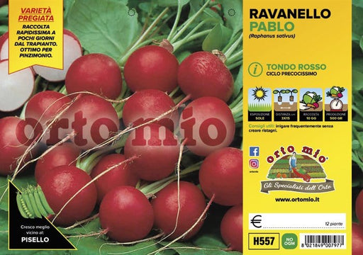Ravanello tondo rosso Pablo - 12 piante - Orto Mio Orto Mio (2497738)