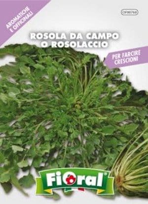 Rosola da Campo - Rosolaccio - Papavero Rosso - Fioral Fioral (2497886)
