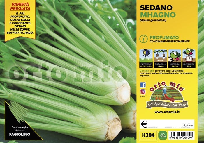 Sedano profumato Mhagno F1 - 6 piante - Orto Mio Orto Mio (2498289)