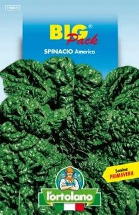 Spinacio America Big Pack - L'Ortolano L'Ortolano (2498604)