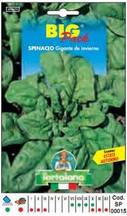 Spinacio Gigante de Inverno - Big Pack - L'Ortolano L'Ortolano (2498606)