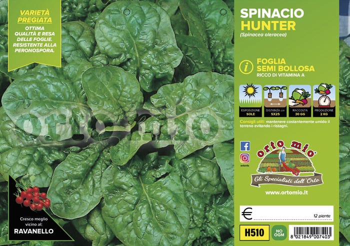 Spinacio semi bolloso Hunter F1 - 12 piante - Orto Mio Orto Mio (2498616)