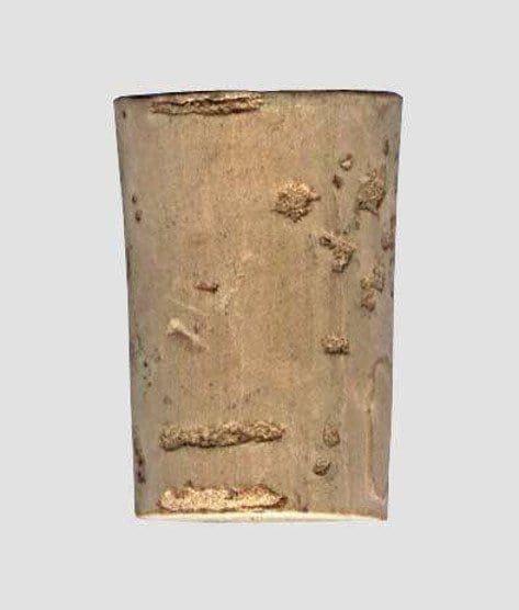 Sughero spinotto conico da 19 Confezione da pz.500 MillStore (2498823)