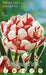 Tulipani Carnaval de Nice Double Late - 5 bulbi Fioral (2499362)