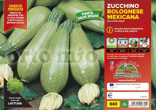 Zucchino bolognese da riempiere Mexicana F1 - 4 piante - Orto Mio Orto Mio (2500105)