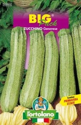 Zucchino Genovese in semi - L'Ortolano L'Ortolano (2500115)
