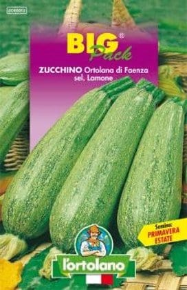 Zucchino Ortolana di Faenza Sel. Lamone - L'Ortolano L'Ortolano (2500122)