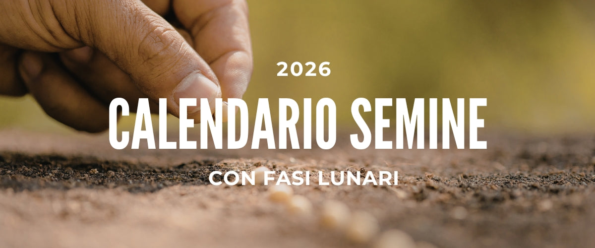 Calendario Lunare delle Semine 2026: Guida Completa Mese per Mese
