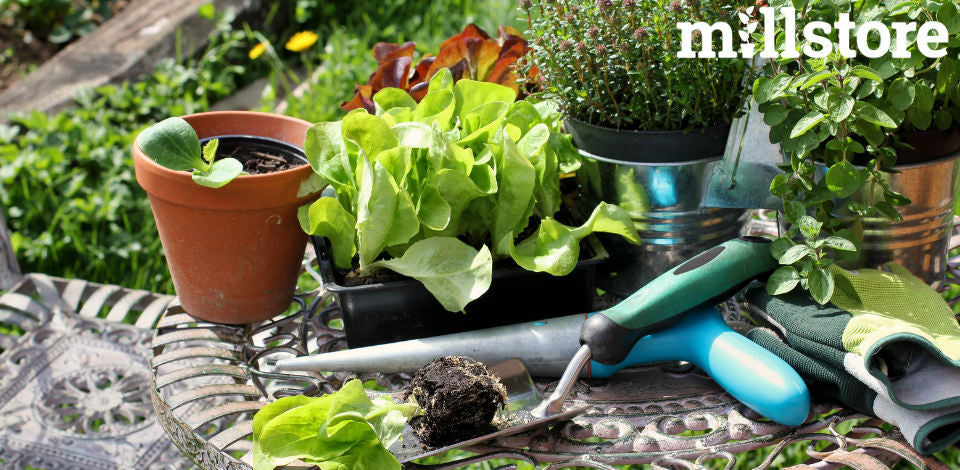 Guida completa agli attrezzi indispensabili per coltivare orto e giardino