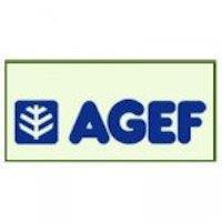 Agef - Millstore.it