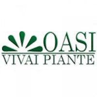 Oasi Vivai Piante - Millstore.it