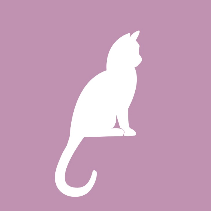 Negozio online per Gatti: Cibo, cucce e accessori —