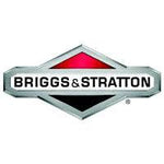 Briggs & Stratton - Millstore.it