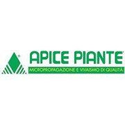 Piante da frutto Apice Piante