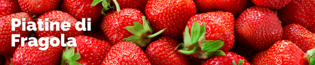 Piantine di Fragole - Vendita Online Piante Fragole Frigoconservate