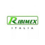 Ribimex