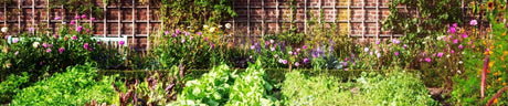 Orto e Giardino - Millstore.it