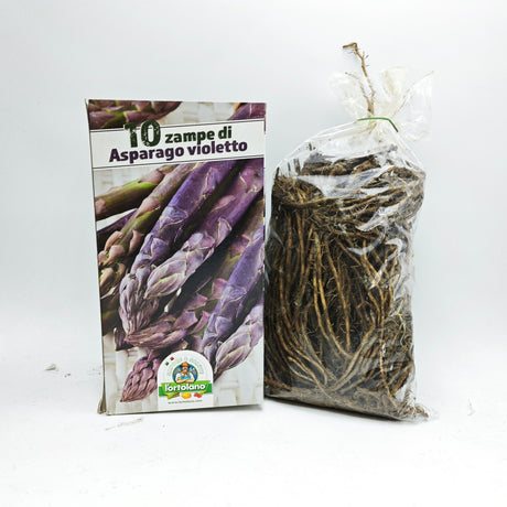 Andian p’r erbi: Asparago Selvatico - Asparagus acutifolius) vulgo Andian p’r erbi: Asparago Selvatico - Asparagus acutifolius) vulgo