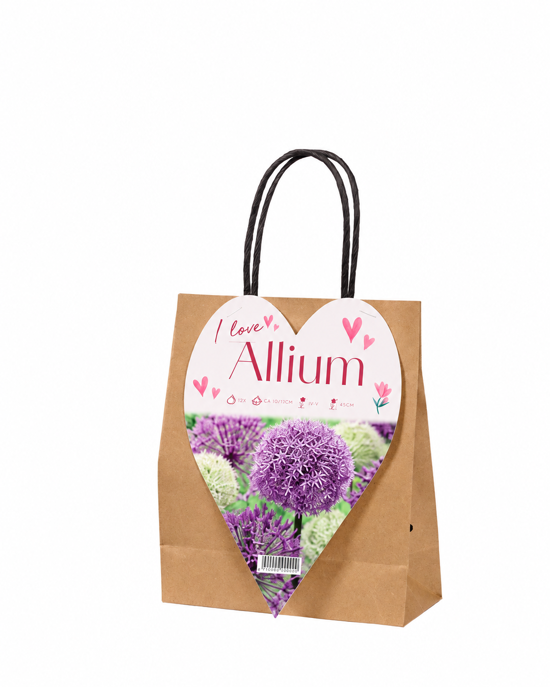 Shopper regalo con 12 bulbi di Allium mix Fioral