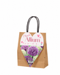Shopper regalo con 12 bulbi di Allium mix Fioral