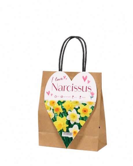Shopper regalo con 12 bulbi di Narcisi mix Fioral