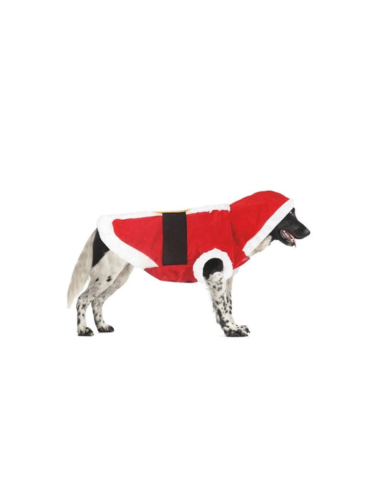 Cappottino Natalizio Babbo Natale per cani Record (2492346)