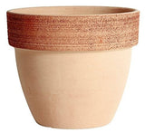 Vaso Palladio Graffiato in Terracotta Degrea (2499653)