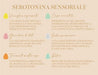 Mordidine Serotonina sensoriale - OH Fragrance 36 cialdine OH Fragrance (2557626)