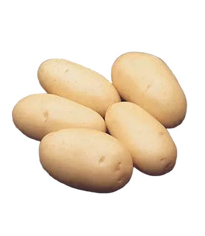 4442319