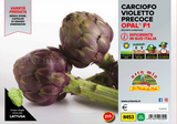 Vroege Herfstroos Violetto Opal F1 - 4 planten - Orto Mio